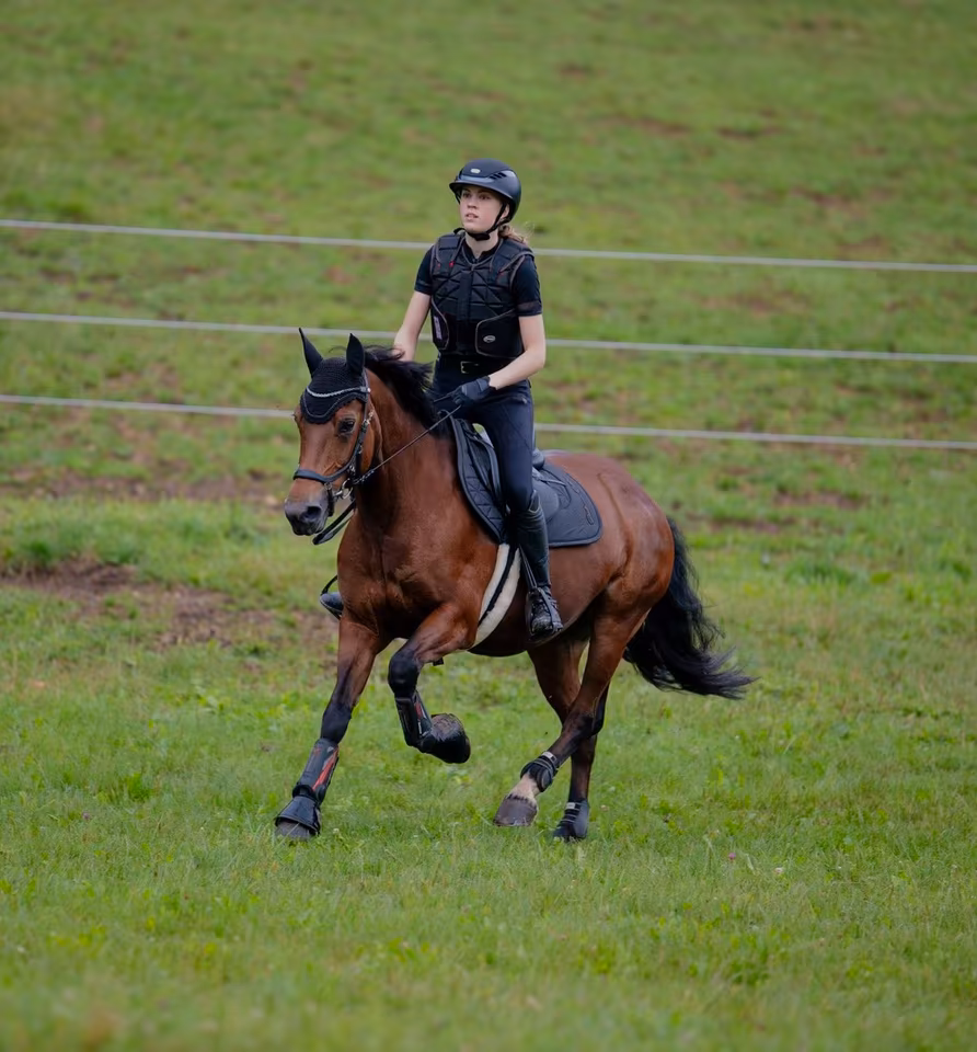 Feline Rautmann auf einem Pferd im Galopp im Gelände